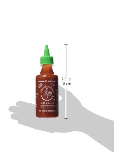 Huy Fong Sriracha Hot Chili Sauce, 9 Ounce, 1 pack