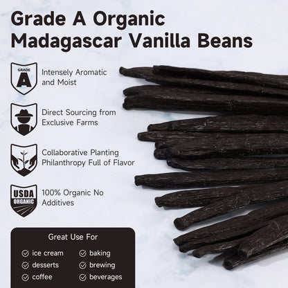 SPICEEL Organic Madagascar Vanilla Beans Vanilla Pods 10 Counts