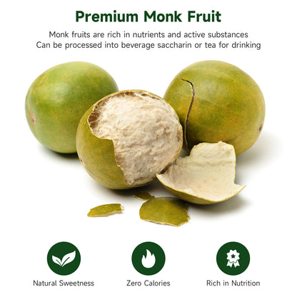 SPICEEL Monk Fruit Sweetener with Erythritol (8 oz)