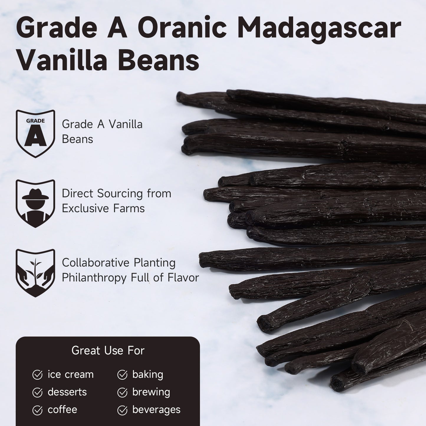 SPICEEL 10 Madagascar Vanilla Beans Whole Grade A Vanilla Pods