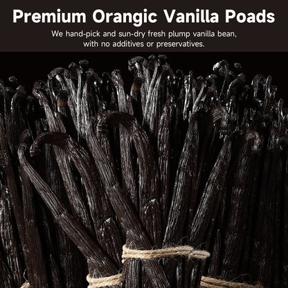 SPICEEL Organic Madagascar Vanilla Beans Vanilla Pods 10 Counts