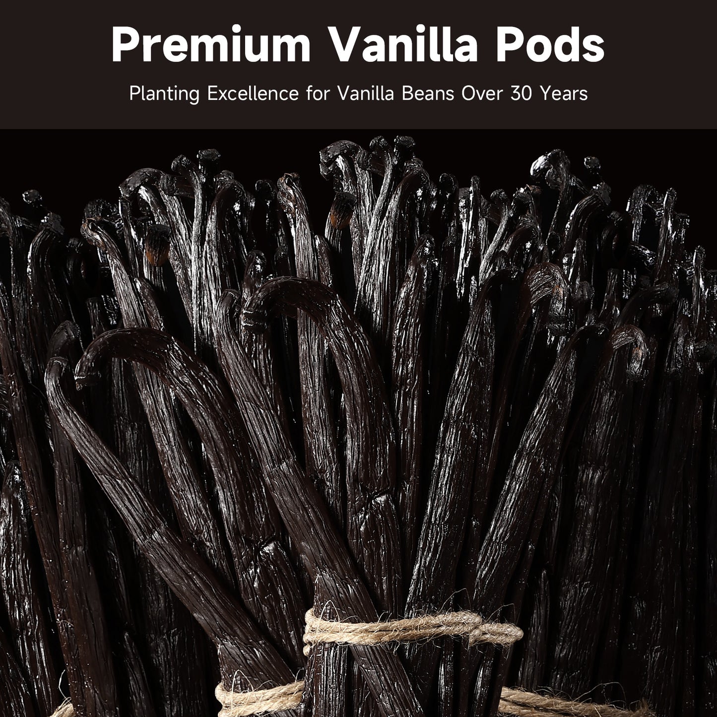 SPICEEL 10 Madagascar Vanilla Beans Whole Grade A Vanilla Pods